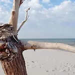 Private Seaside Сашино