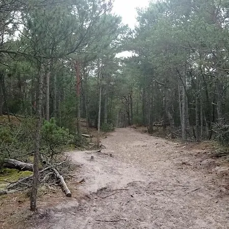 Private Seaside Prázdninový dům Sasino