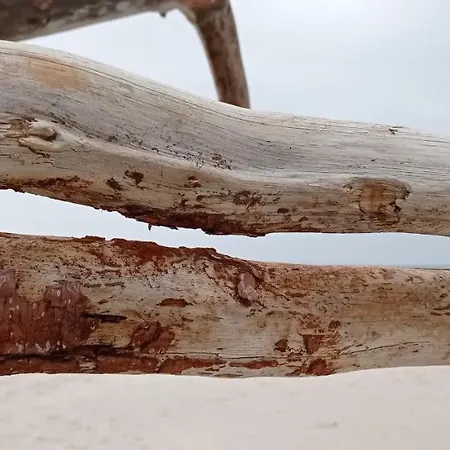 Prázdninový dům Private Seaside Sasino