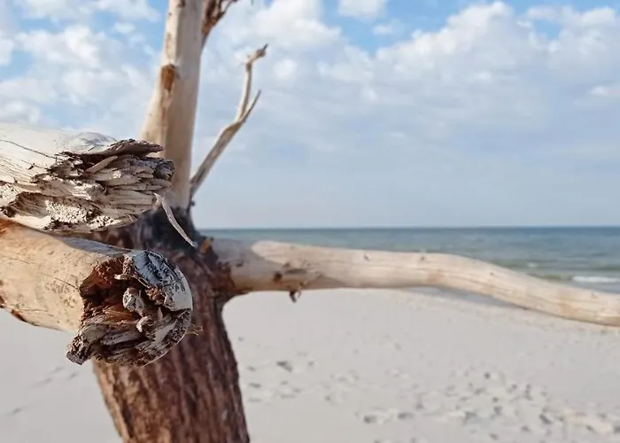 Private Seaside Sasino