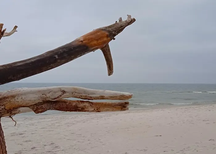 Private Seaside Semesterbostad