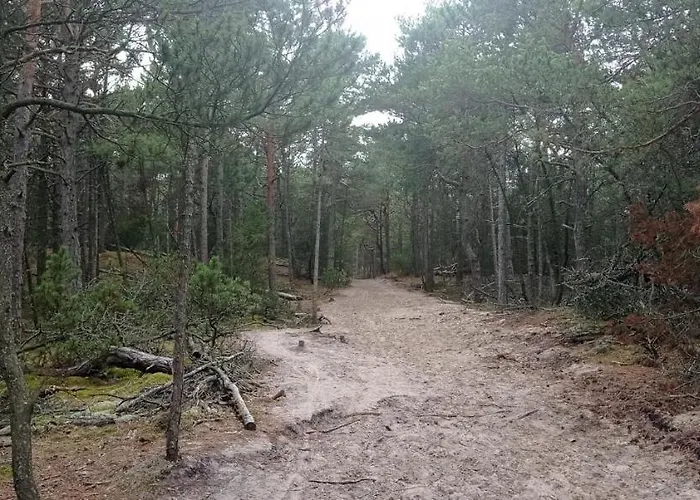 Private Seaside Semesterbostad Sasino