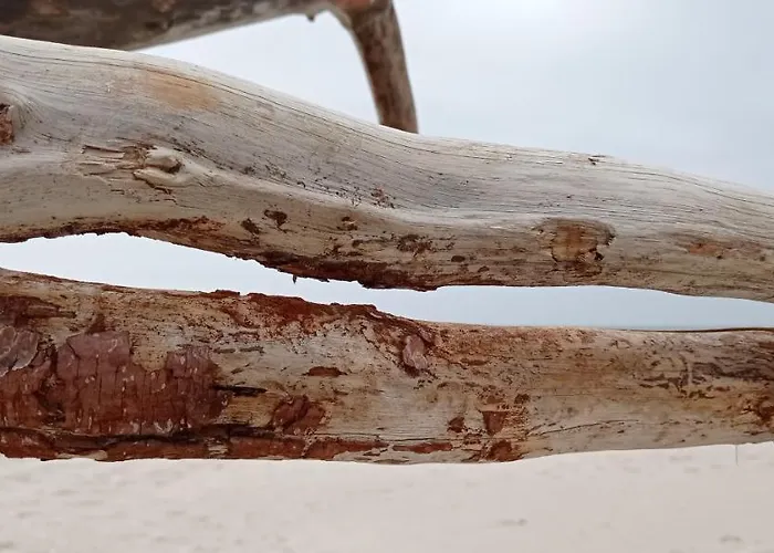 Vakantiehuis Private Seaside Sasino